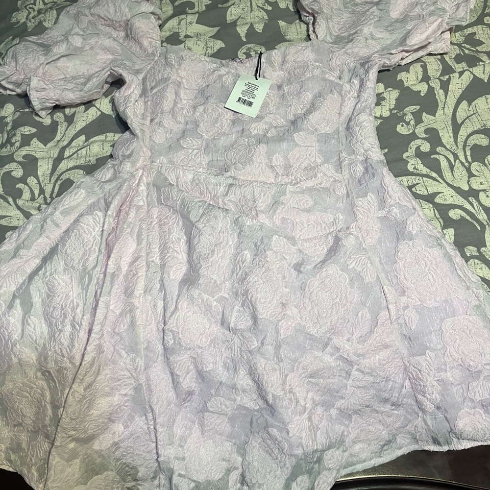 Showpo Brailey Puff Sleeve Fit and Flare Mini Dress